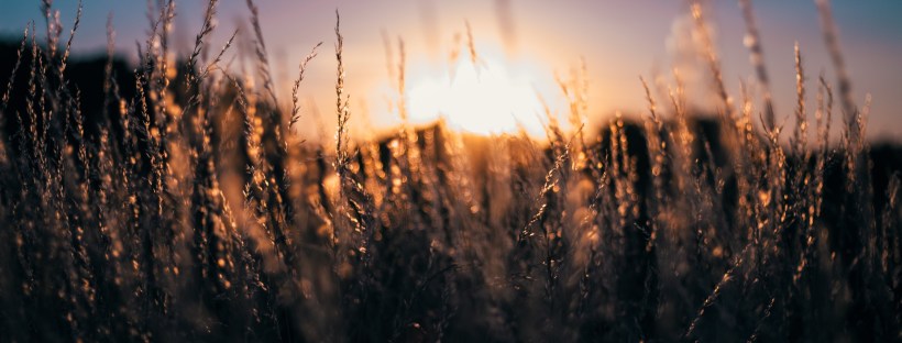 A no from God can be more beneficial to us than His yes.